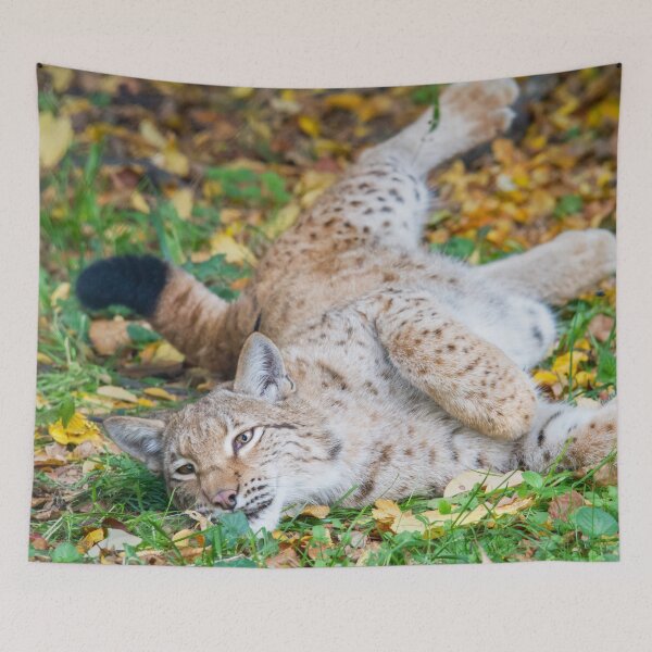 Item preview, Playful Lynx designed and sold by Dominika Aniola.