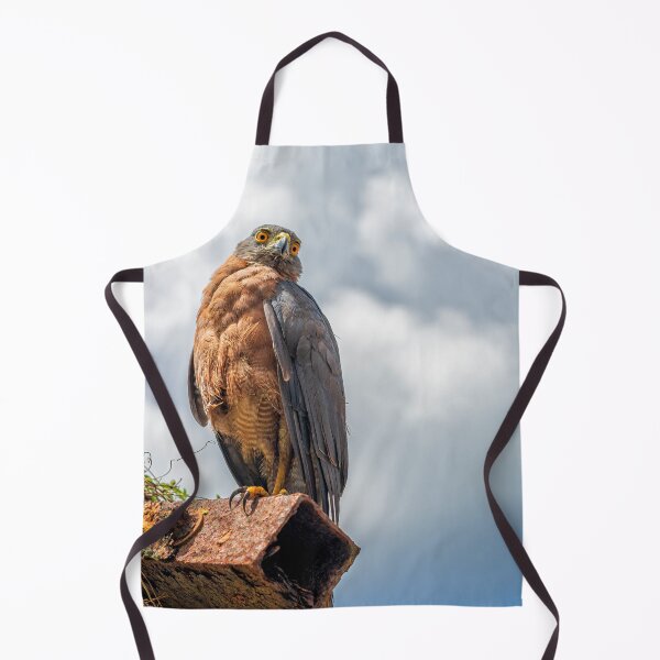 Item preview, Christmas Island Goshawk designed and sold by JohnKarmouche.