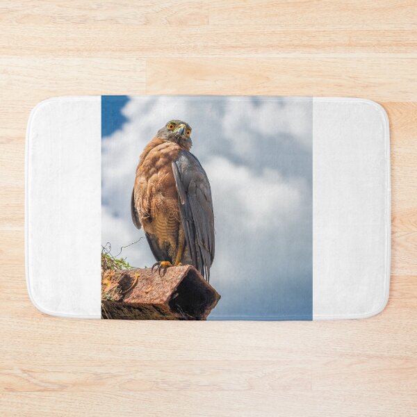 Item preview, Christmas Island Goshawk designed and sold by JohnKarmouche.