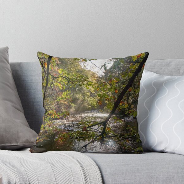Item preview, Autumn on the Afon Pyrddin, Pontneddfechan designed and sold by VnGphoto.