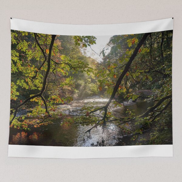Item preview, Autumn on the Afon Pyrddin, Pontneddfechan designed and sold by VnGphoto.