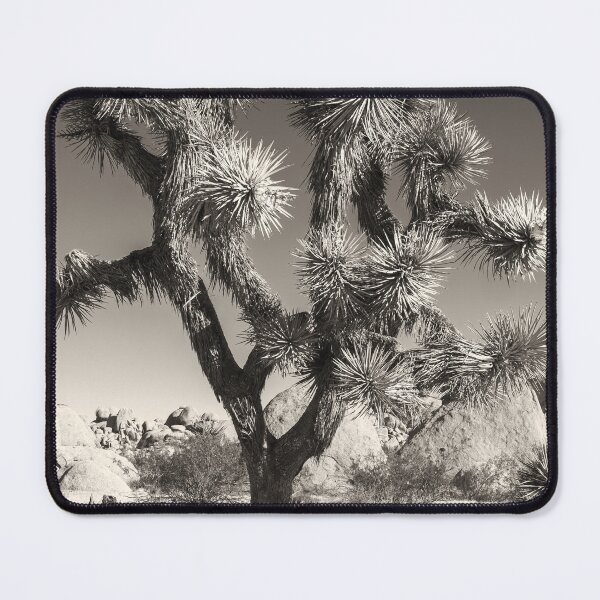 Item preview, Joshua Tree bw designed and sold by jvnimages.