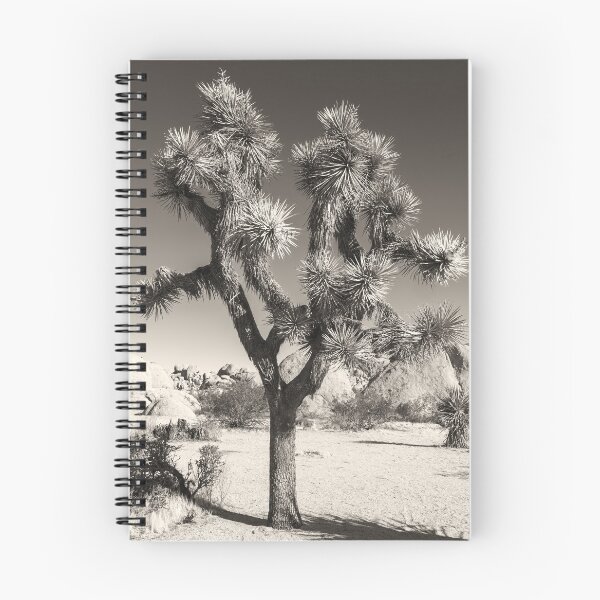 Item preview, Joshua Tree bw designed and sold by jvnimages.