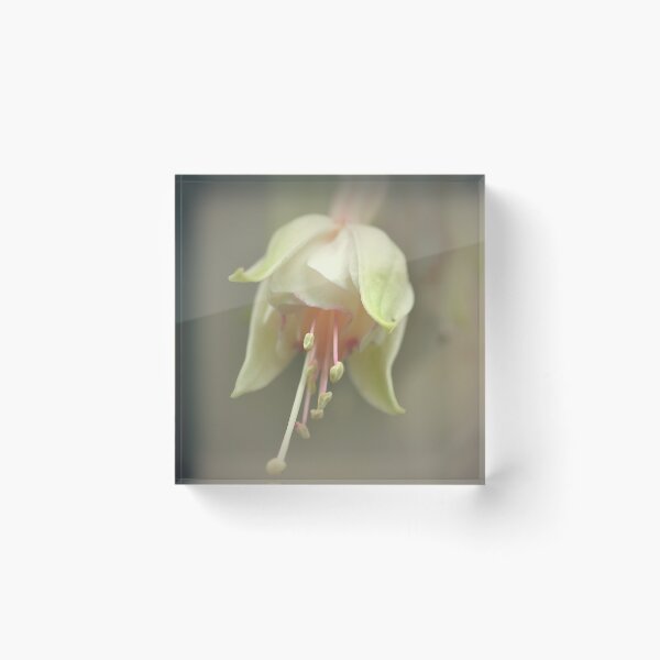 Item preview, Backyard Pastel designed and sold by Nicole W..