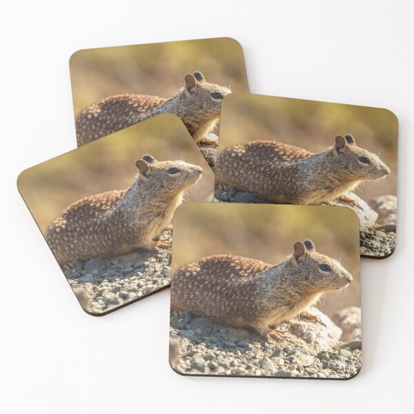 Item preview, Ground Squirrel designed and sold by jvnimages.