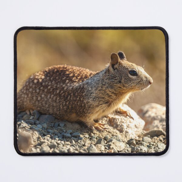 Item preview, Ground Squirrel designed and sold by jvnimages.
