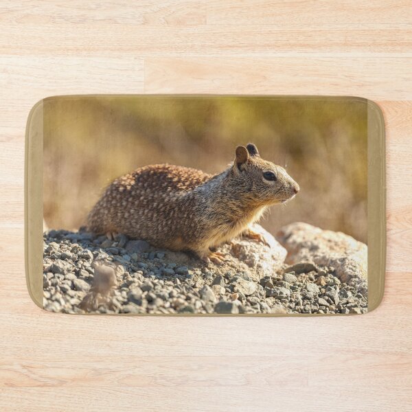 Item preview, Ground Squirrel designed and sold by jvnimages.