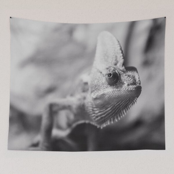Item preview, Chameleon designed and sold by Dominika Aniola.