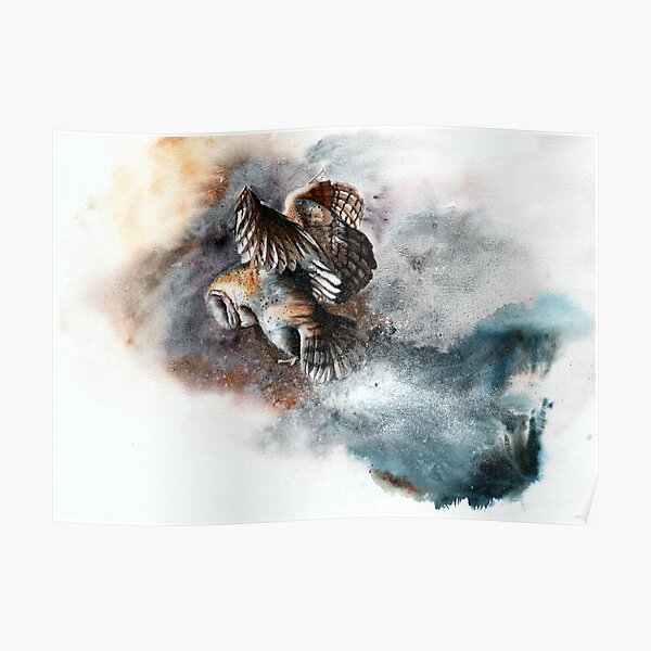 Snow Patrol Poster