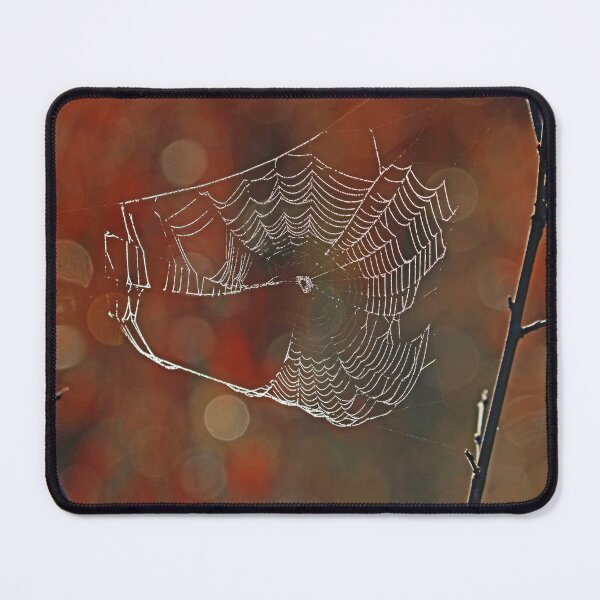 Item preview, The Autumn Spiderweb designed and sold by Deb Oppermann.