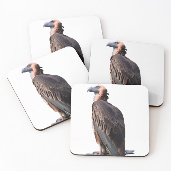Item preview, perched vulture designed and sold by David-Howells.
