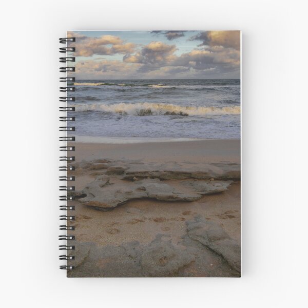 Item preview, Florida Footprints in the Sand designed and sold by nbrandsberg.