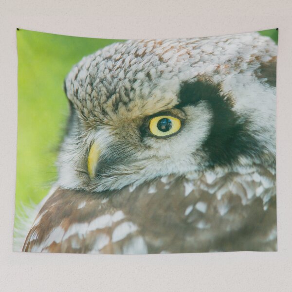 Item preview, Northern Hawk Owl designed and sold by Dominika Aniola.