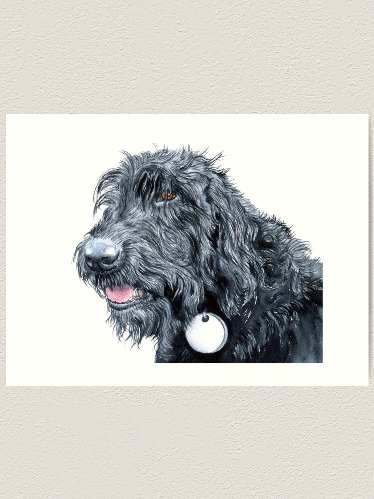 Labradoodle discount art prints