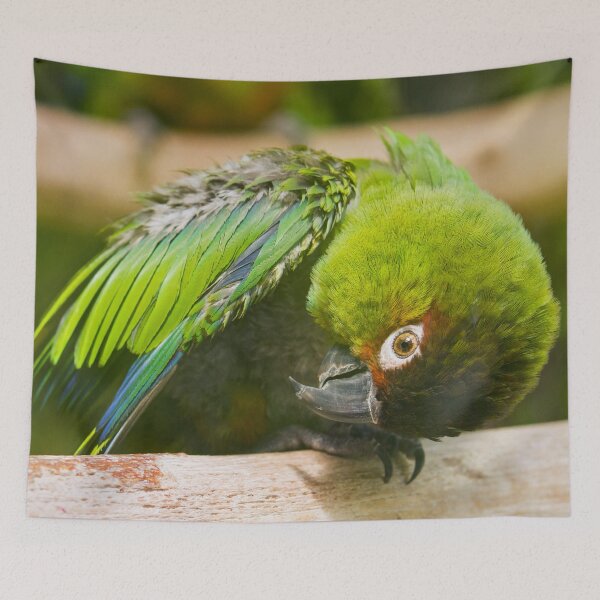 Item preview, Green Parakeet designed and sold by Dominika Aniola.