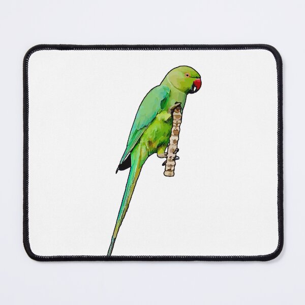 Item preview, Beautiful Green Indian Ringneck designed and sold by katiebca2.