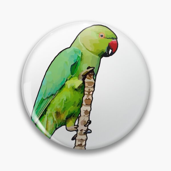 Item preview, Beautiful Green Indian Ringneck designed and sold by katiebca2.