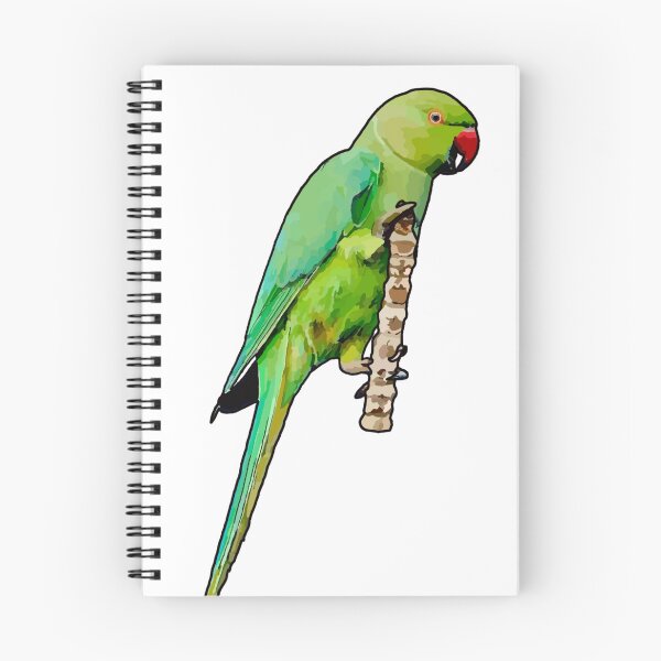 Item preview, Beautiful Green Indian Ringneck designed and sold by katiebca2.