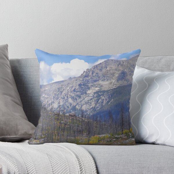 Aperçu de l'œuvre Montagnes dans RMNP créée et vendue par Cody VanDyke.