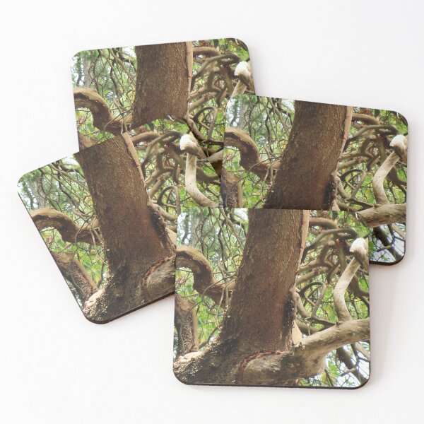 Item preview, Branches Gone Wild designed and sold by Chriscolibaba.