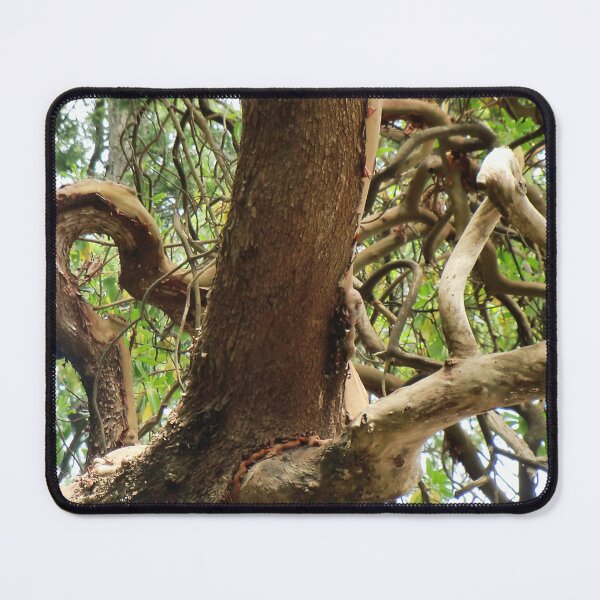 Item preview, Branches Gone Wild designed and sold by Chriscolibaba.
