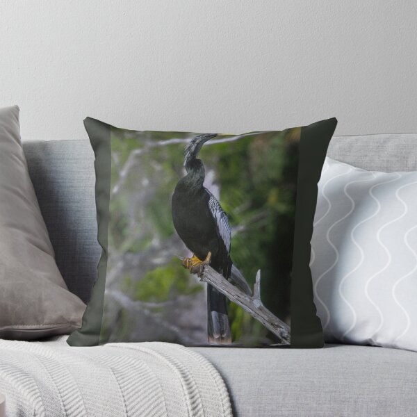 Item preview, Florida  Anhinga Twisted Neck designed and sold by nbrandsberg.