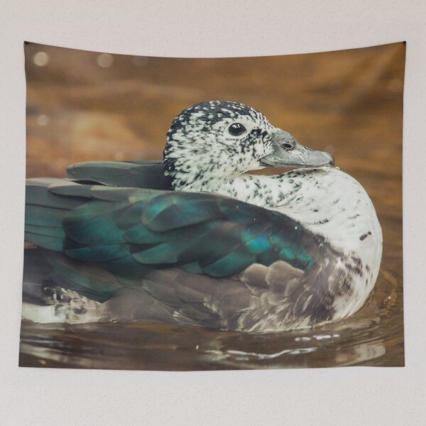 Item preview, Knob-billed Duck designed and sold by Dominika Aniola.