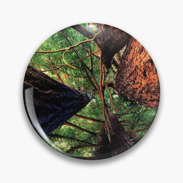 Item preview, Tree photo designed and sold by Shelby Designs!.