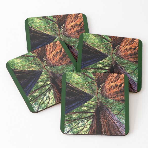 Item preview, Tree photo designed and sold by Shelby Designs!.