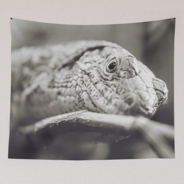 Item preview, Southeastern Girdled Lizard designed and sold by Dominika Aniola.