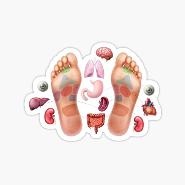 Item preview, Foot Reflexology Map  designed and sold by LisaVerbeeck.