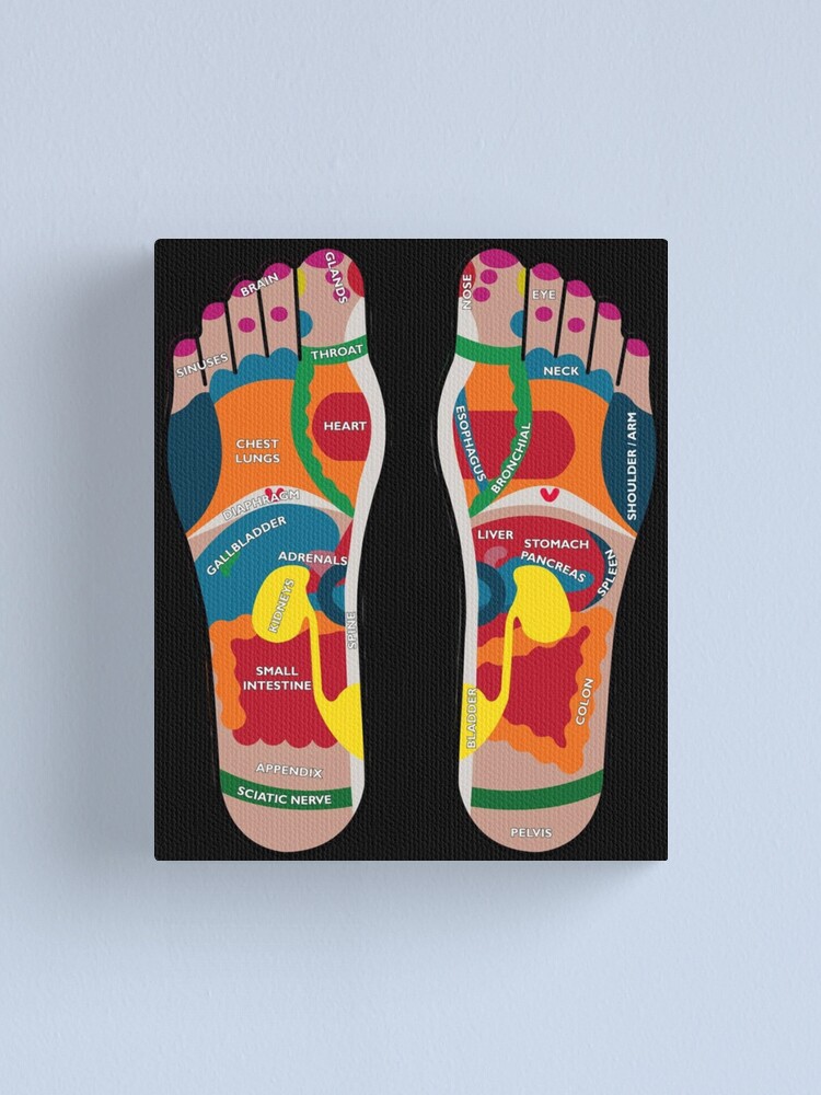 Foot Reflexology Map foot-reflexology-map-canvas-print-for-sale-by-lisaverbeeck-redbubble