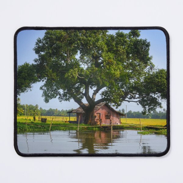 Item preview, Kerala Gods own country - photograph of backwaters of Kerala | For photography lovers| Indian photography  designed and sold by Arteartz.