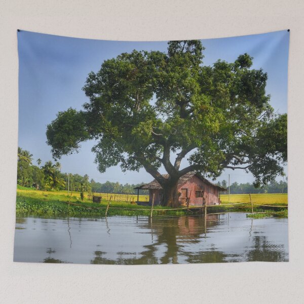 Item preview, Kerala Gods own country - photograph of backwaters of Kerala | For photography lovers| Indian photography  designed and sold by Arteartz.