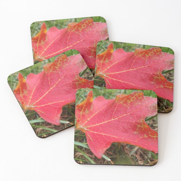Item preview, Red Leaf on Grass designed and sold by MinaBohl.
