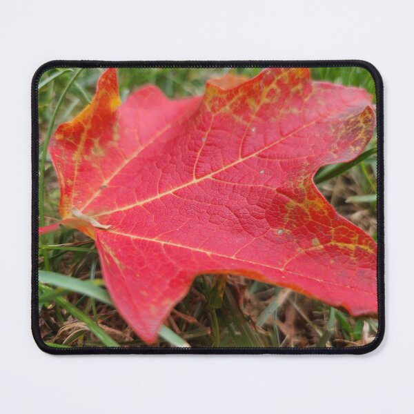 Item preview, Red Leaf on Grass designed and sold by MinaBohl.