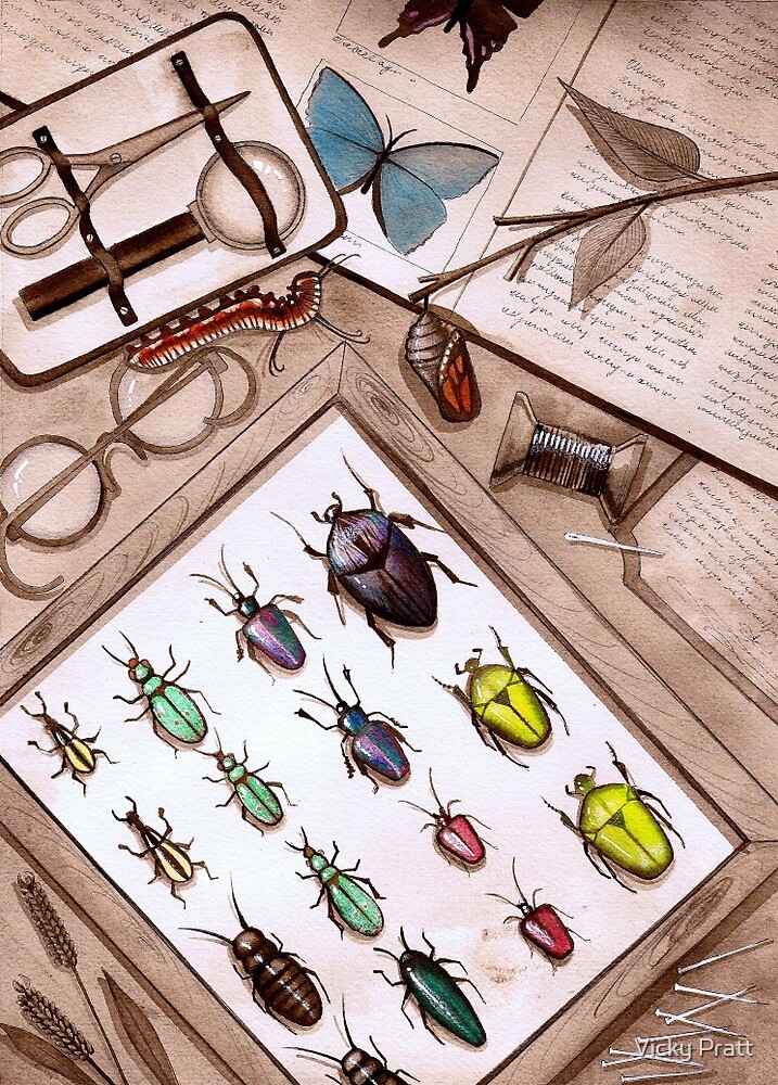 "Insect Collector" by Vicky Pratt Redbubble