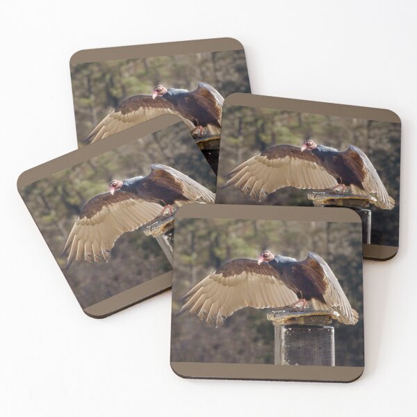 Item preview, Turkey Vulture Wings Spread designed and sold by nbrandsberg.