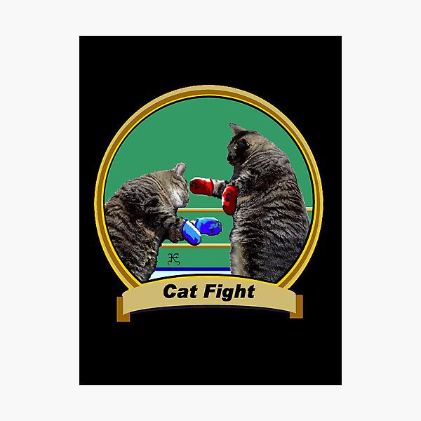 Item preview, Cat Fight- 'Kittys on the Canvas' designed and sold by Kevyn Paul Eisenman.