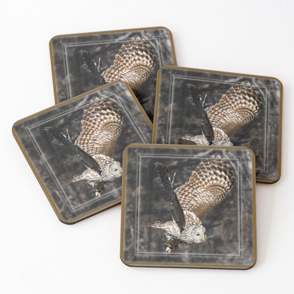 Item preview, Double Framed Asian Brown Owl designed and sold by nbrandsberg.