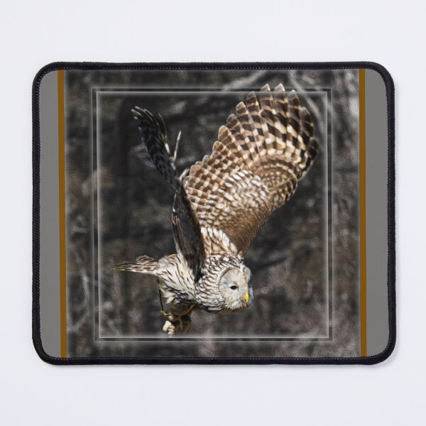 Item preview, Double Framed Asian Brown Owl designed and sold by nbrandsberg.