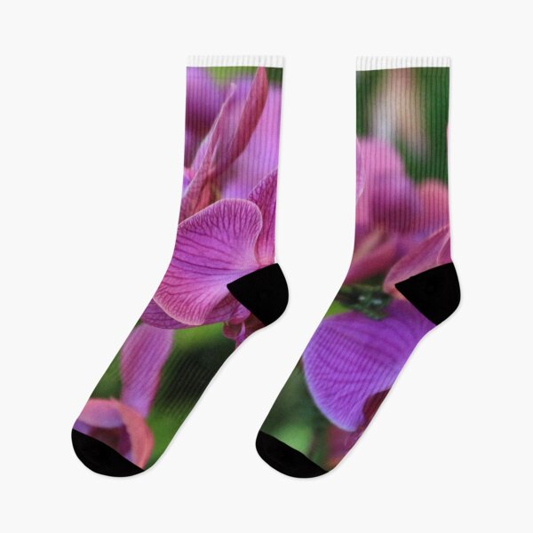 Item preview, Purple pink mauve lilac orchid flowers in bloom designed and sold by FranWest.