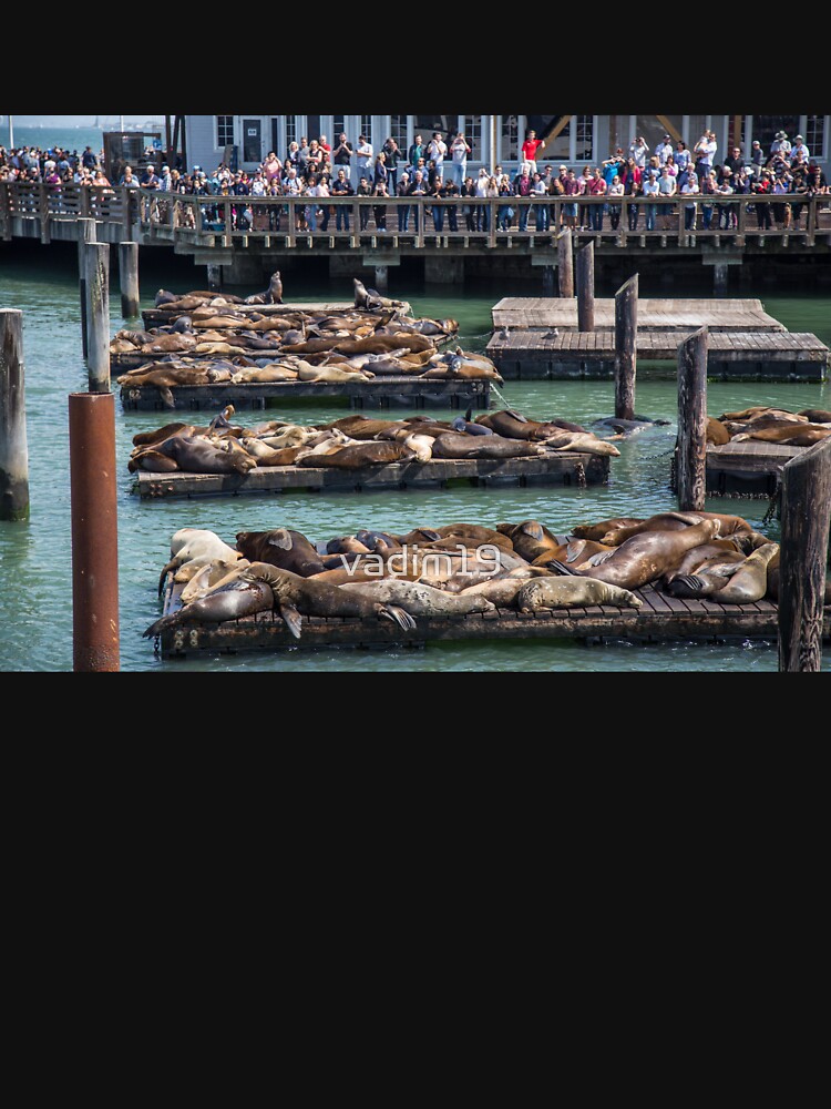 Pier 39 Sea Lions, San Francisco San Francisco Pullover Hoodie | Redbubble