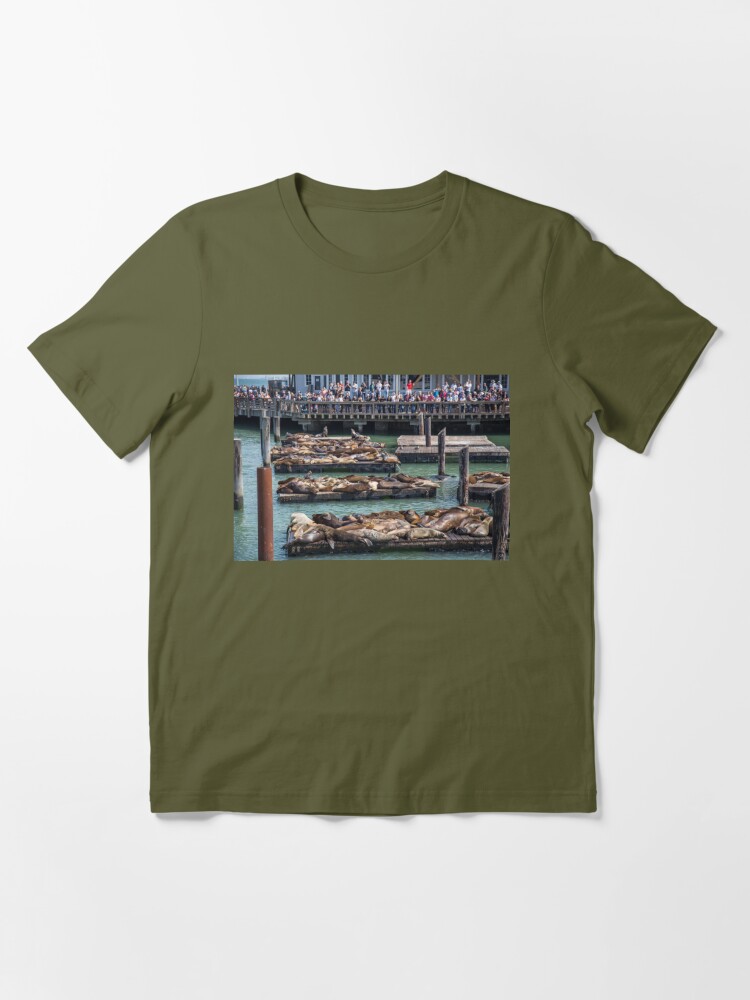 Pier 39 Sea Lions, San Francisco San Francisco Pullover Hoodie | Redbubble