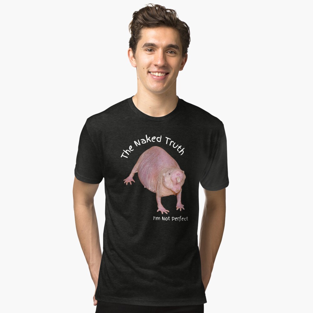 Item preview, Tri-blend T-Shirt designed and sold by ZZINGO.