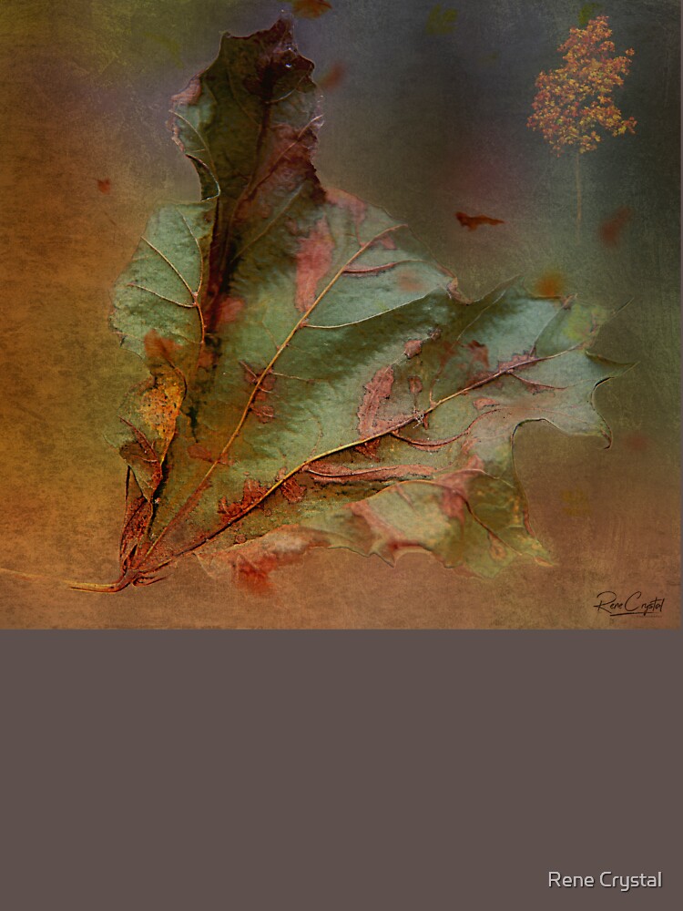 The Only Thing Constant is Change by imagesbycrystal