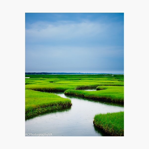 Item preview, Marsh of Cape Cod designed and sold by Adam Cunningham.
