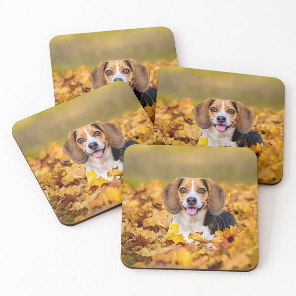 Item preview, Beagle in autumn leaves designed and sold by (Tallow) Dave  Van de Laar.