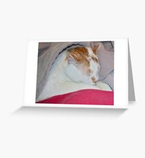 Sweet Dreams Greeting Card