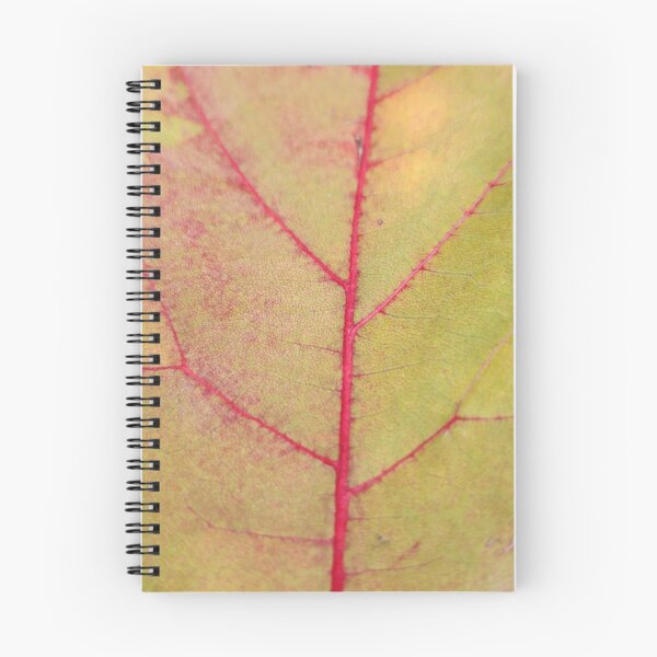 Item preview, Closeup of Red-Veined Leaf designed and sold by MinaBohl.